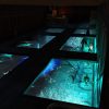 The Frozen White Theatre — TTRPG Battlemap